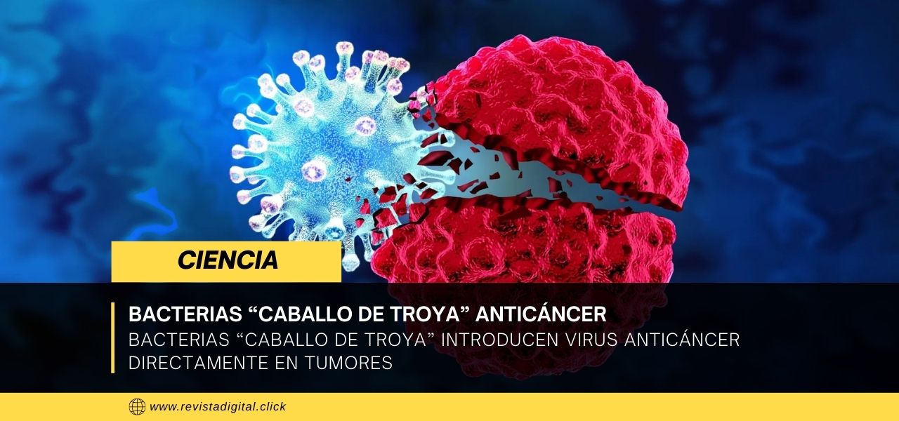 Bacterias “caballo de Troya” introducen virus anticáncer directamente en tumores