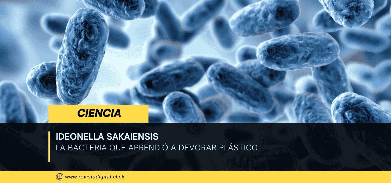 Ideonella sakaiensis: la bacteria que aprendió a devorar plástico