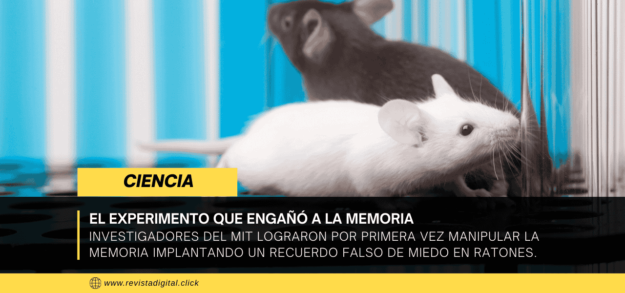 El experimento que engañó a la memoria: científicos implantan recuerdos falsos en ratones